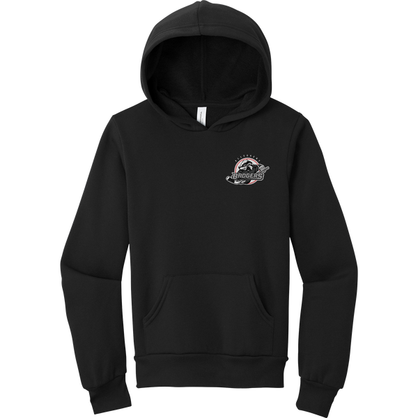 Allegheny Badgers Youth Sponge Fleece Pullover Hoodie