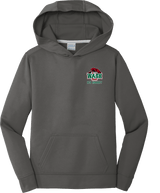 Wash U Youth Performance Fleece Pullover Hooded Sweatshirt